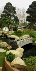 thi công hồ cá koi sân vườn