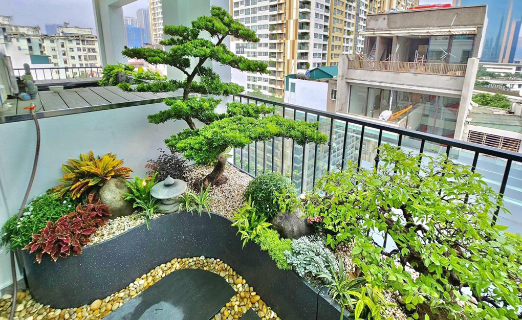 Thiết kế thi công tiểu cảnh sân thượng