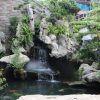 Thiết kế tiểu cảnh non bộ
