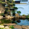 thiết kế tiểu cảnh tại Hà Nội